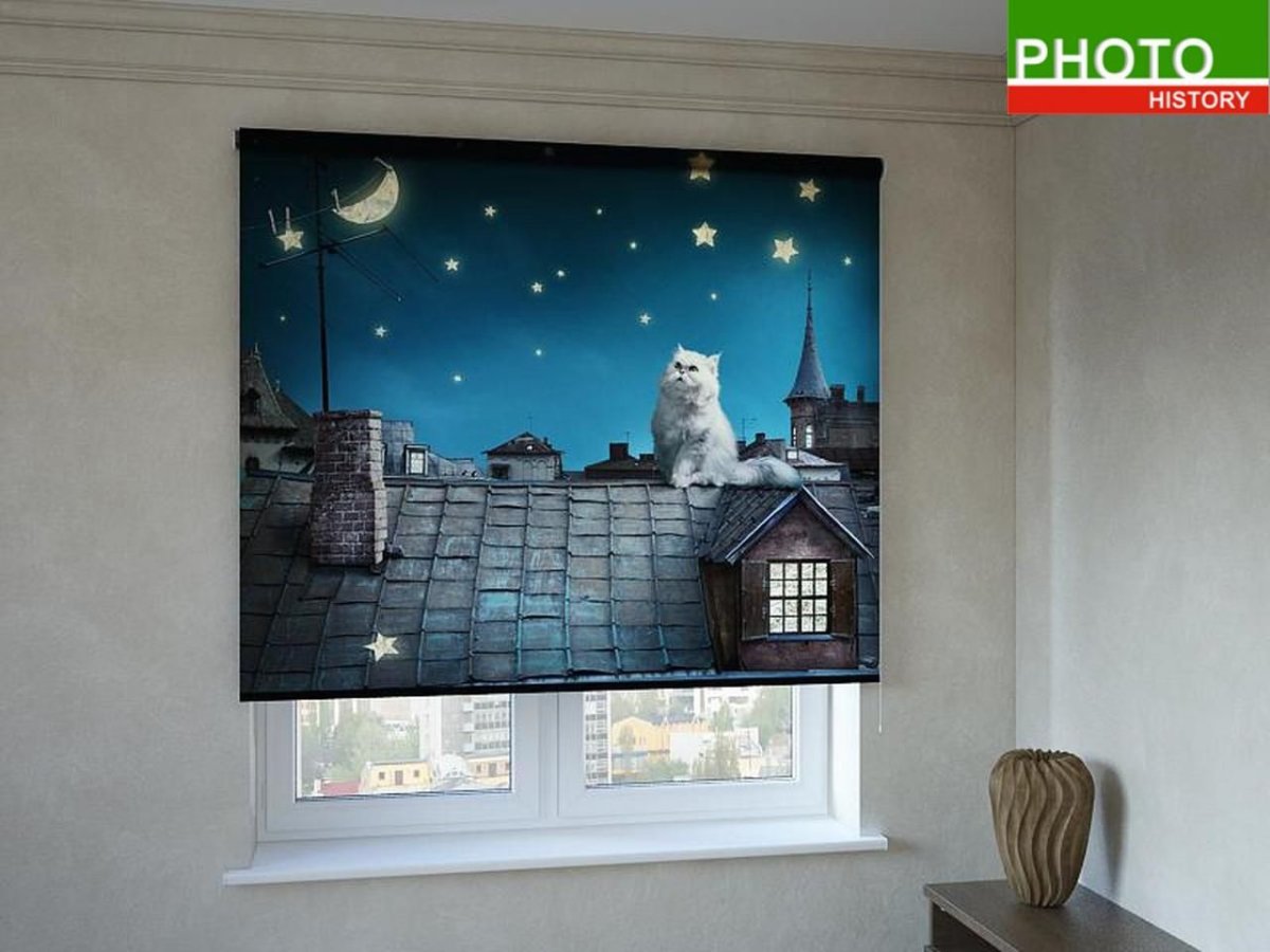 Рулонные шторы с котами