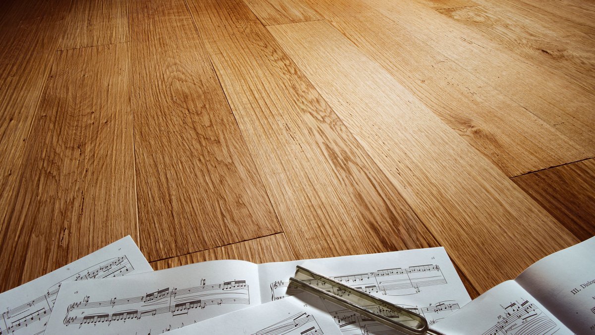 Кот на ламинате