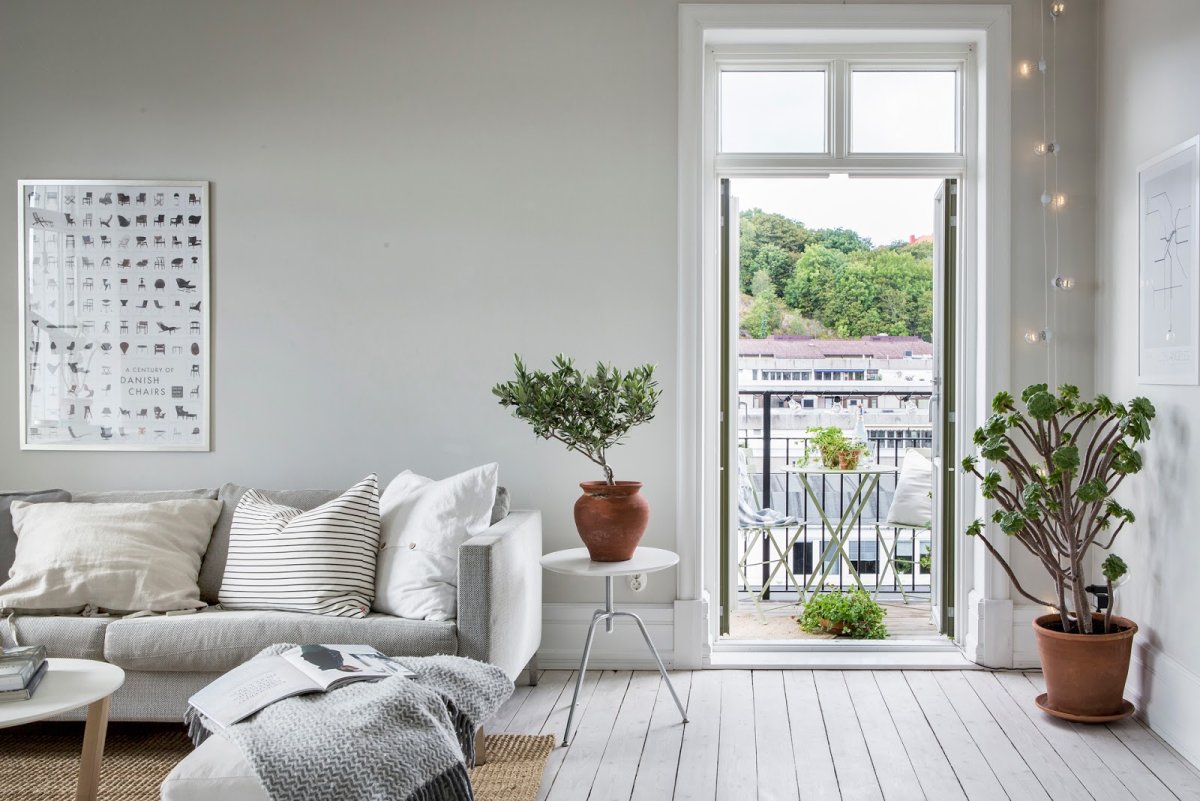 Растения в интерьере Сканди