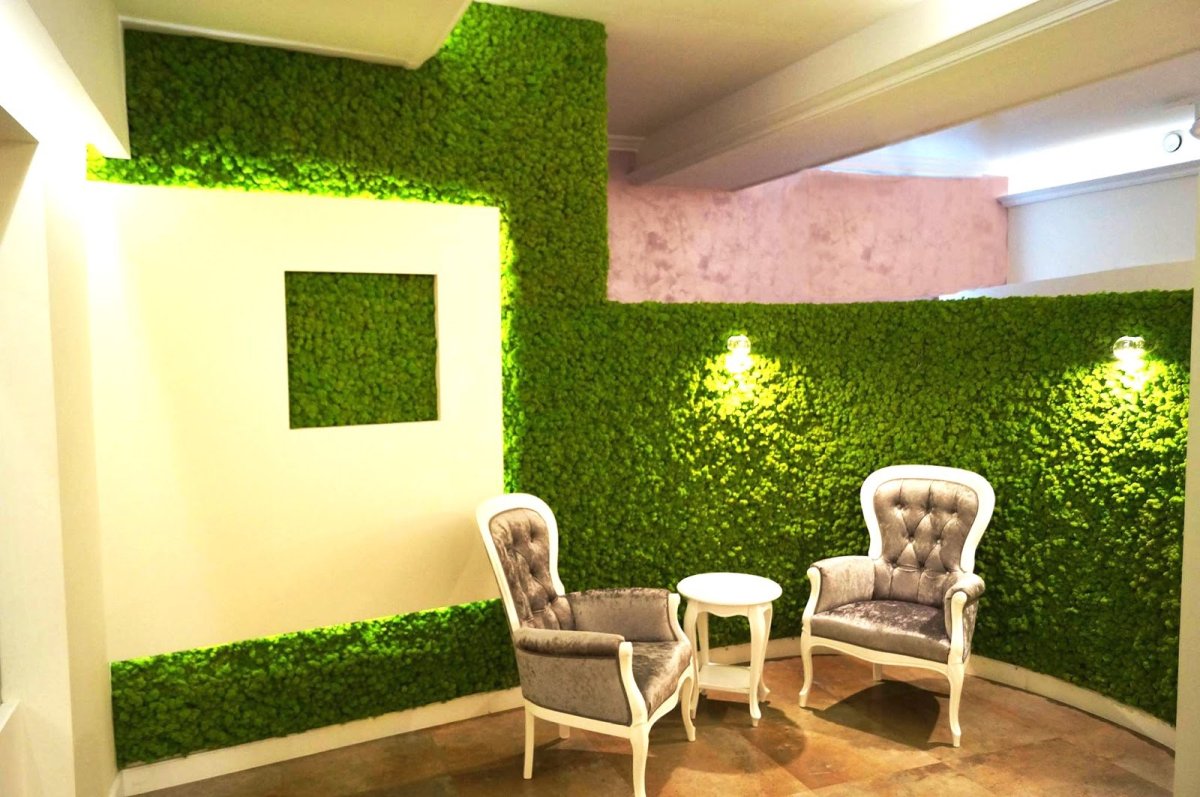 Мох на стене с подсветкой