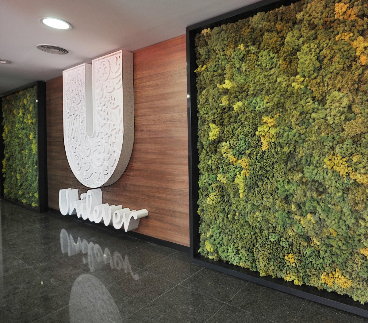 Панели из стабилизированного мха