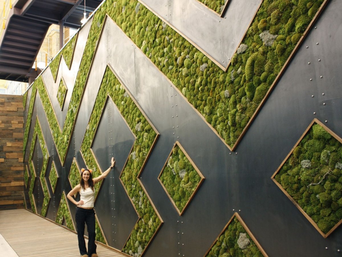 Стена мох и доски