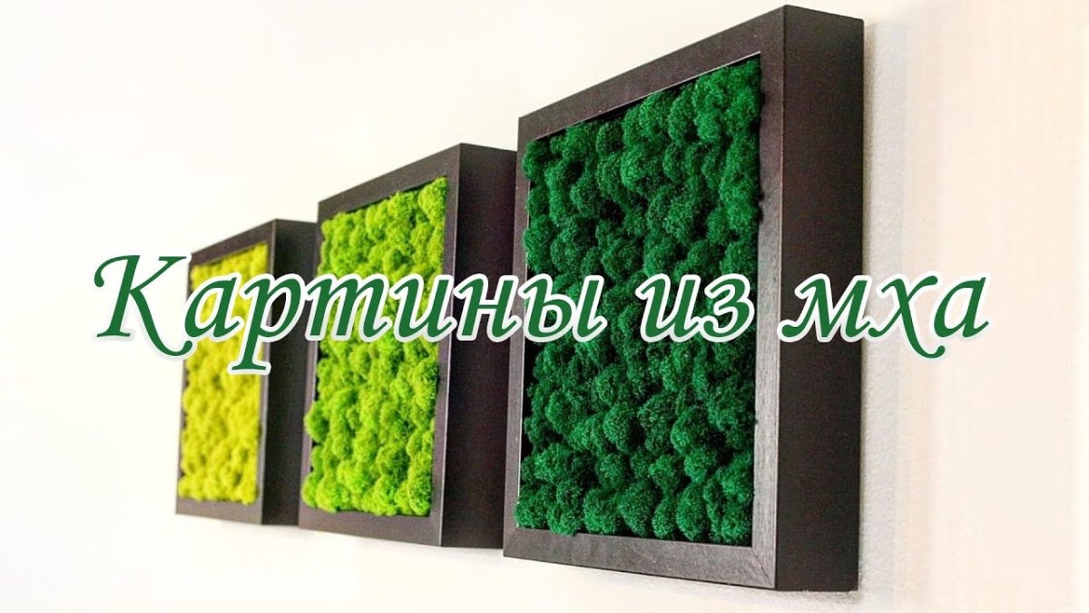 Панно из ягеля стабилизированного