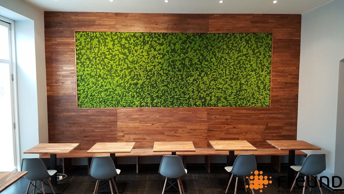 Стабилизированный мох в офисе