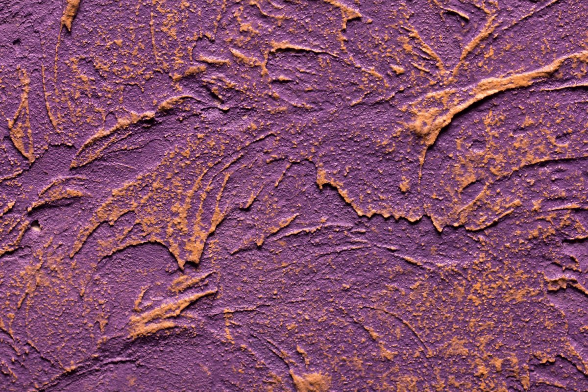 Короед венецианка