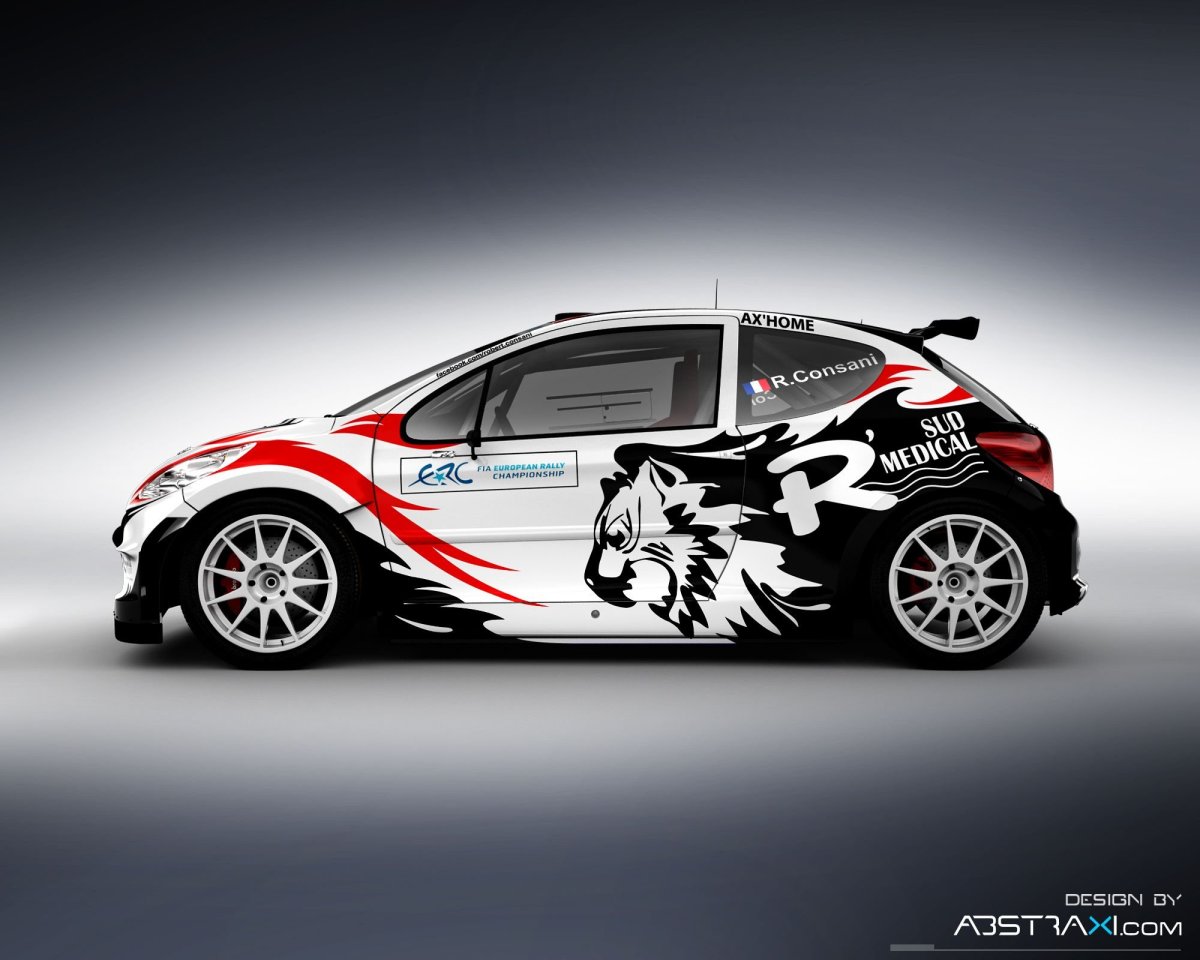 Раллийные винилы на авто