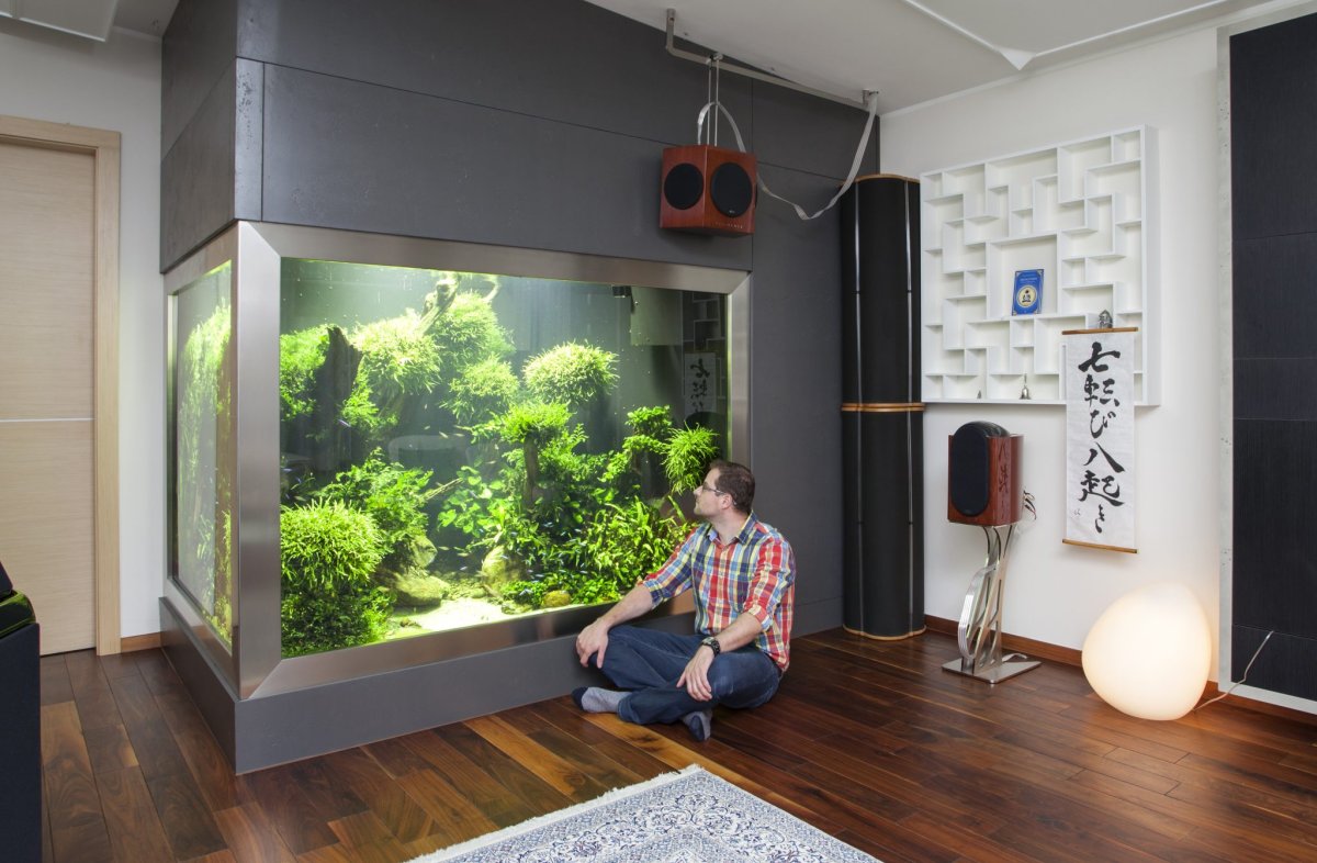 Подвесной аквариум на стену