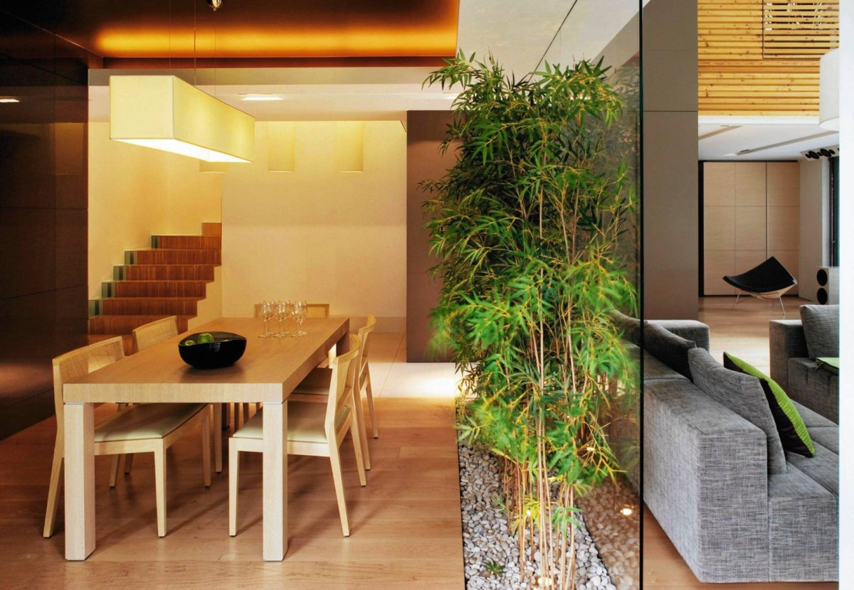 Настоящий бамбук в интерьере квартиры