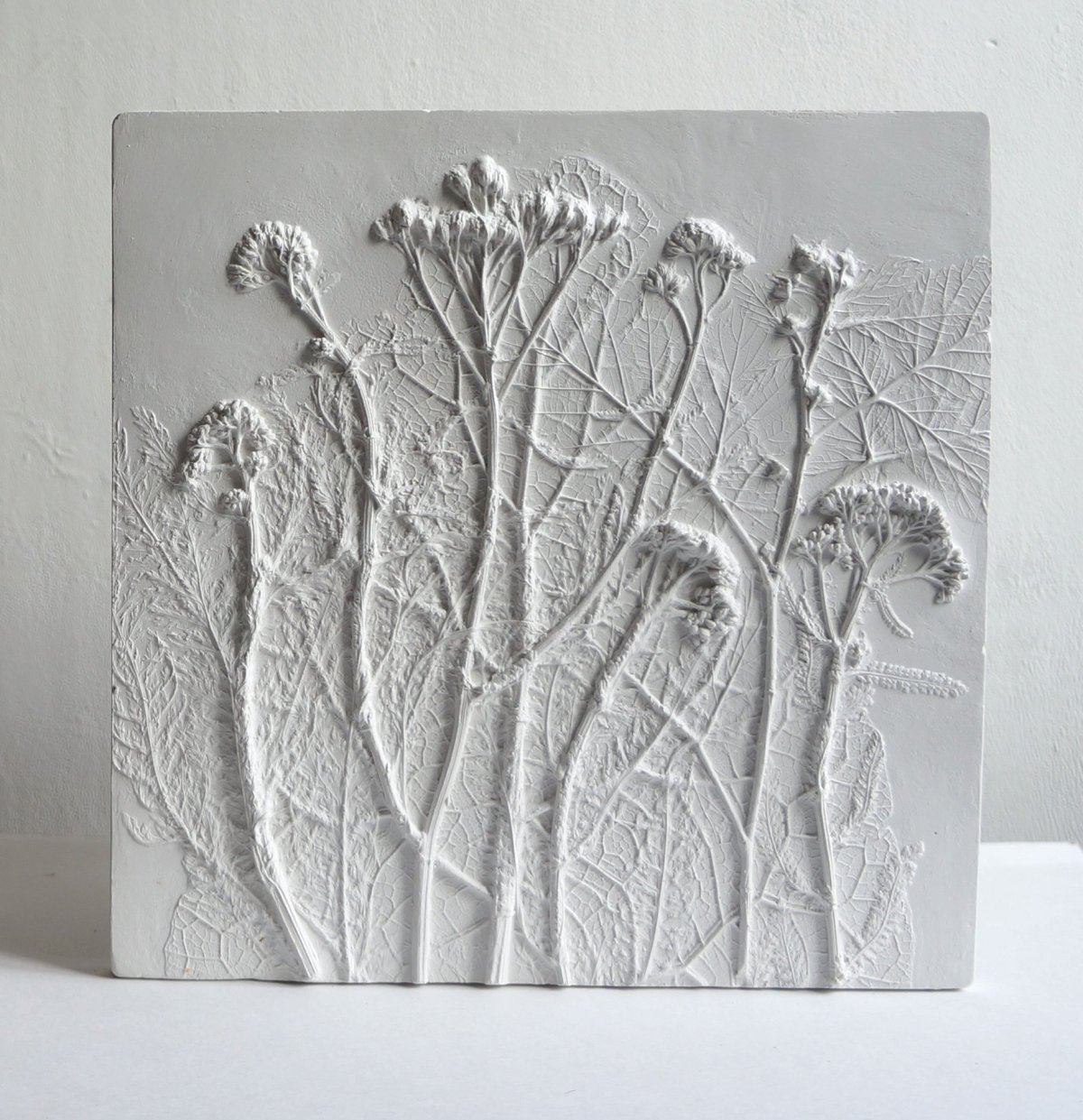 Рейчел Дейн (отливка из гипса с оттиска живых растений)