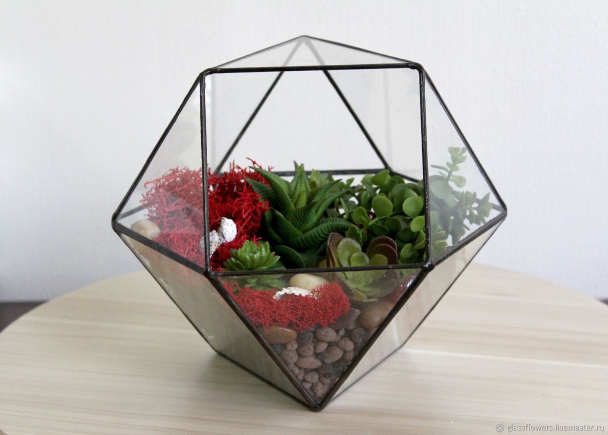 Флорариум кубооктаэдр