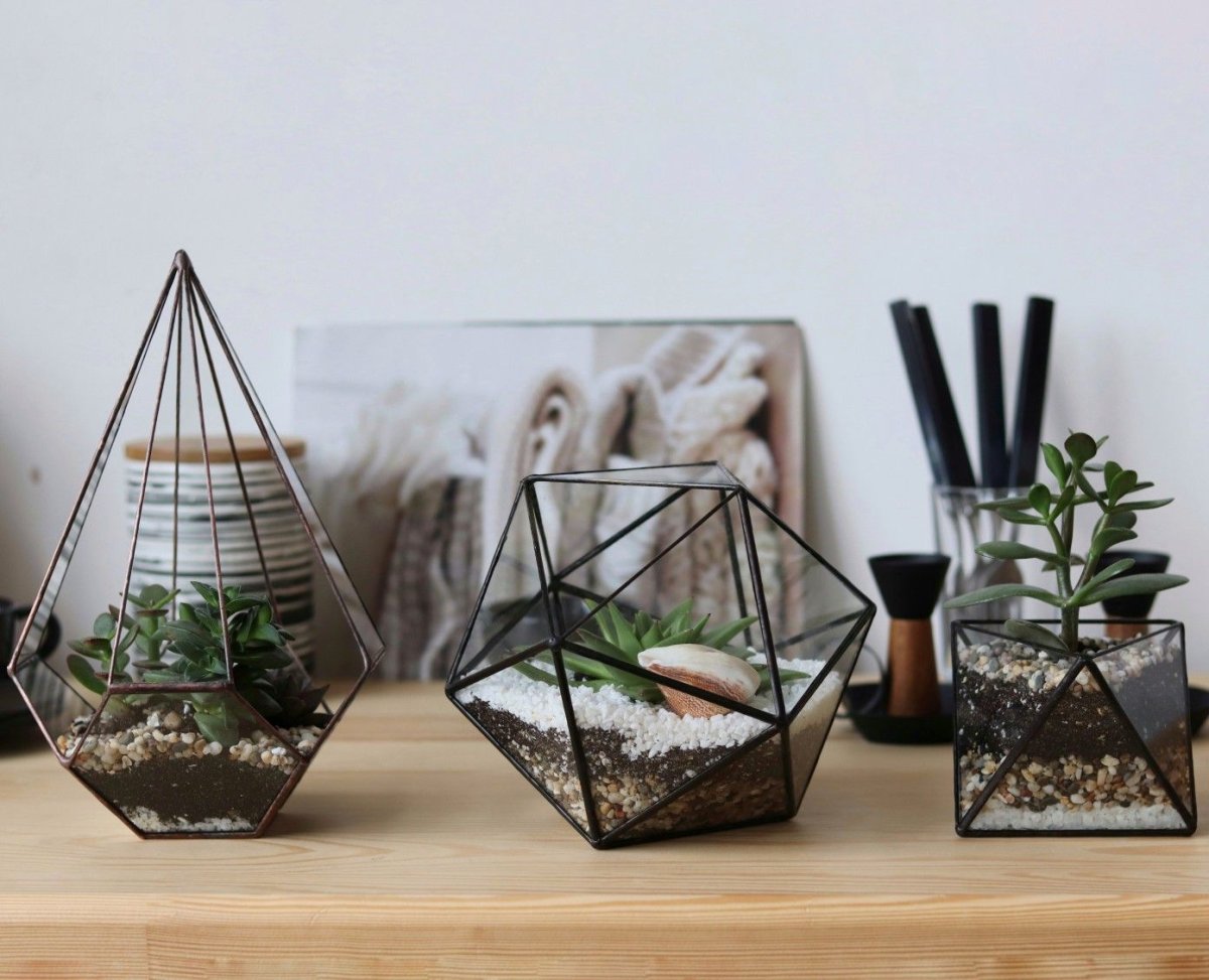 Флорариумы 1830