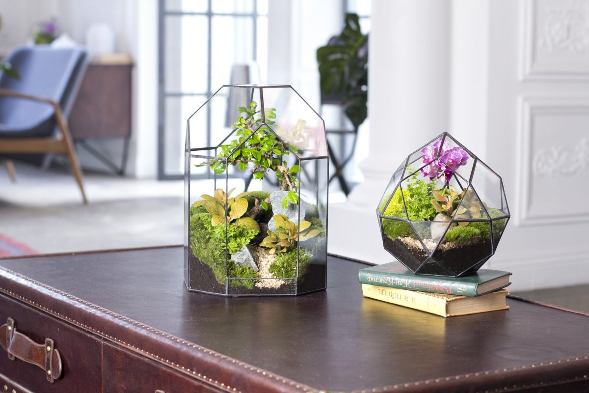 Флорариум Эстетика