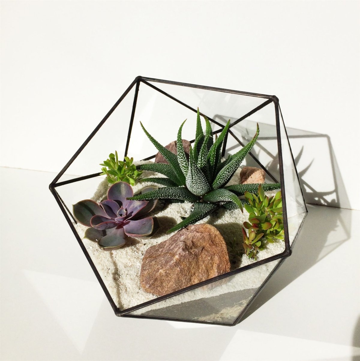 Руины Майя флорариум