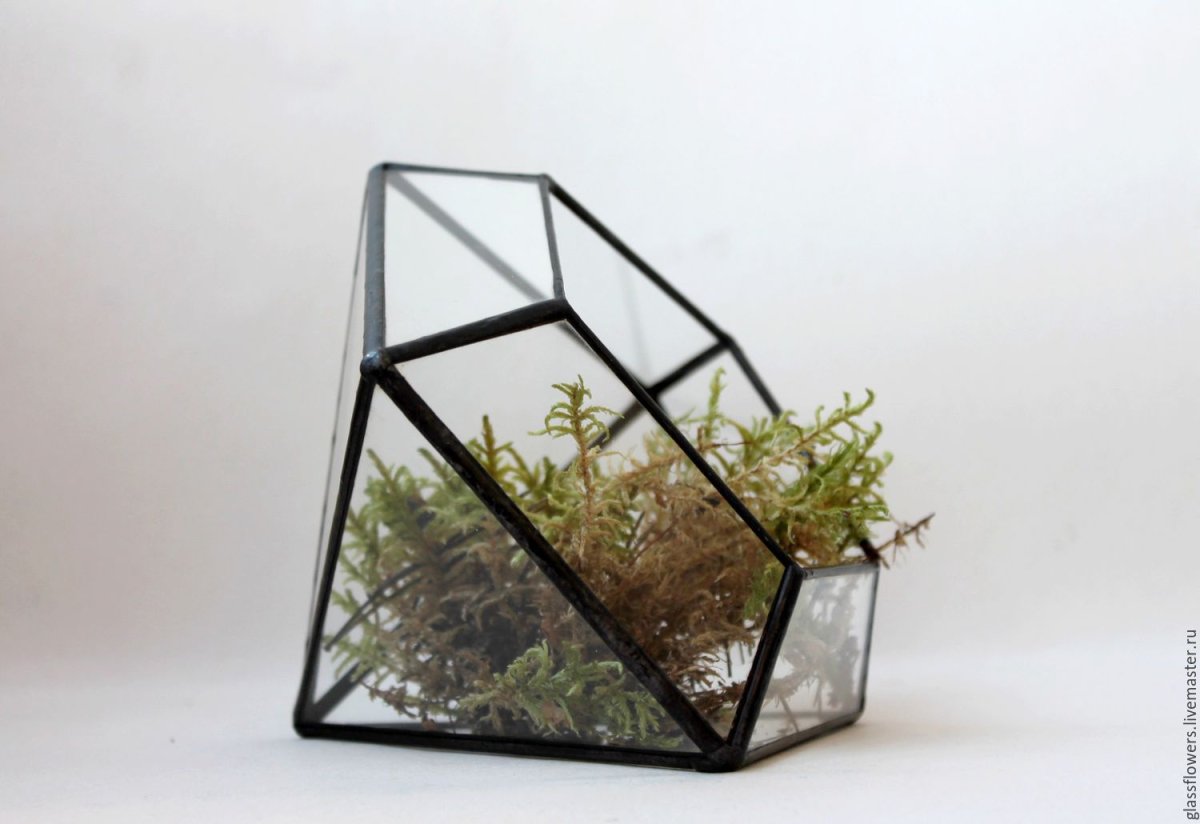 Флорариум Алмаз