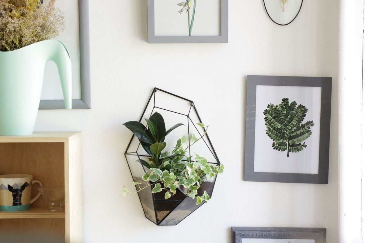 Флорариумы настенные