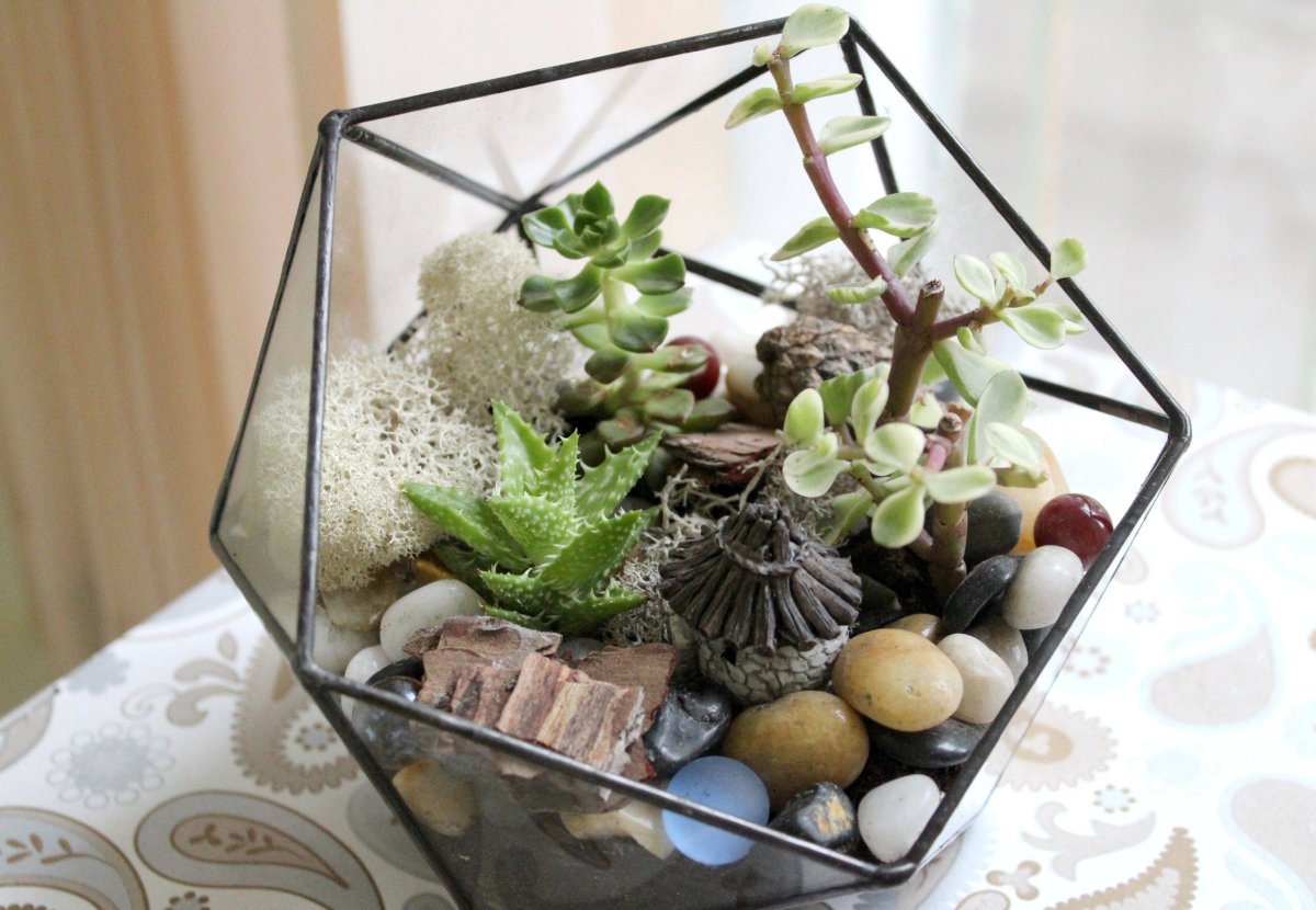 Флорариум японский сад