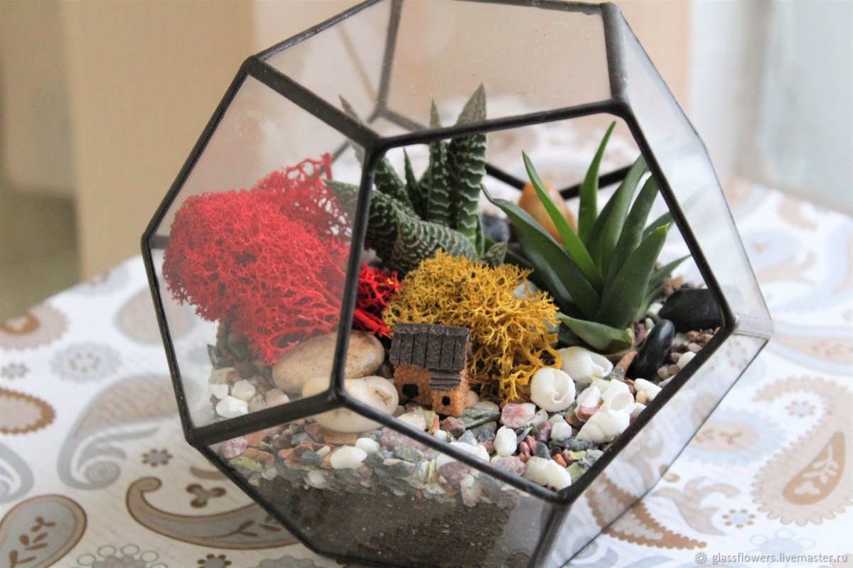 Флорариум "домик"
