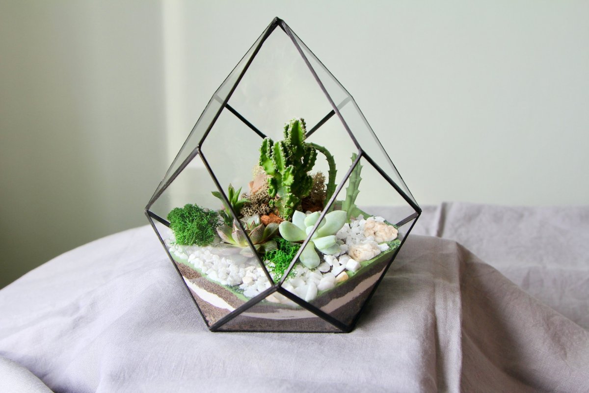 Geometric Glass флорариум купить