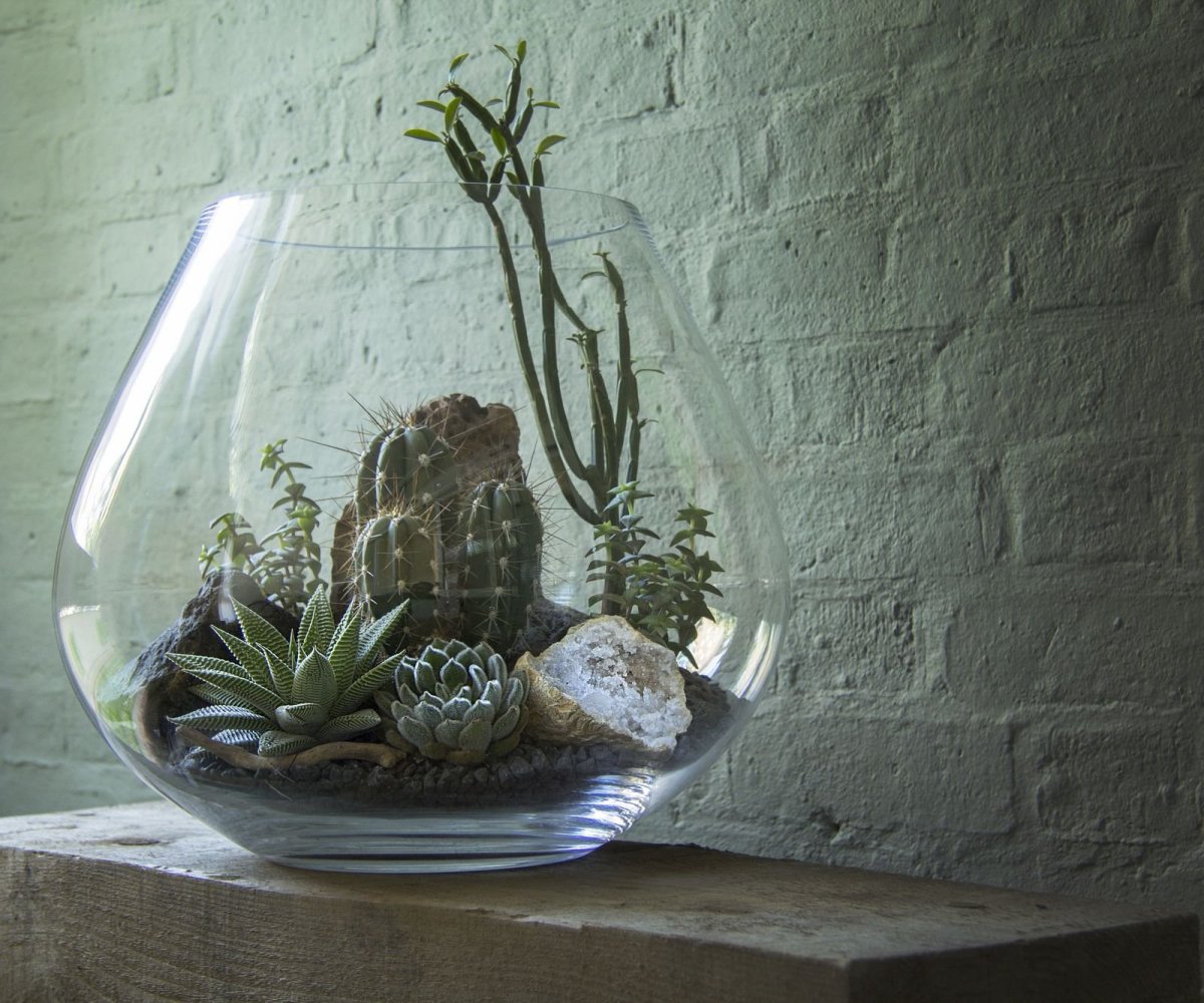 Флорариум на окне декор