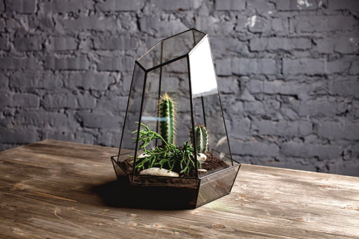 Флорариум лофт