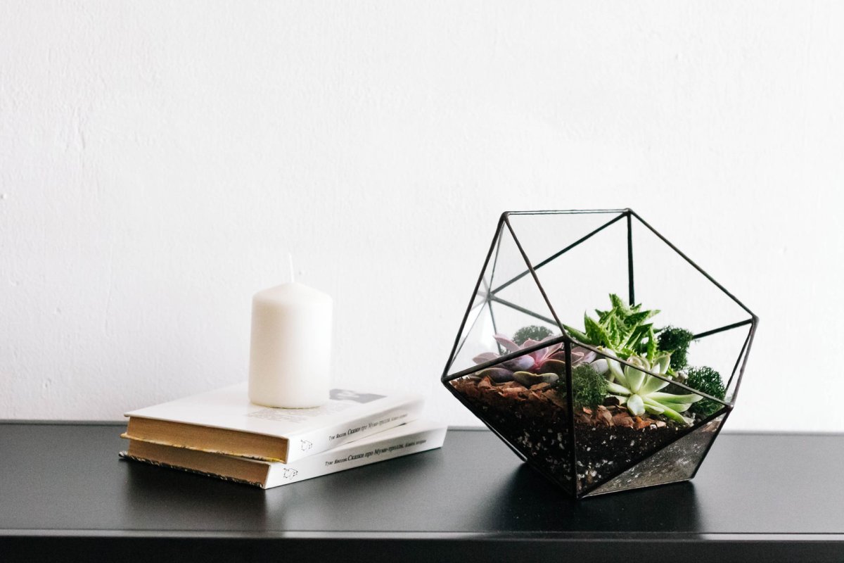 Флорариум зеленый Оазис