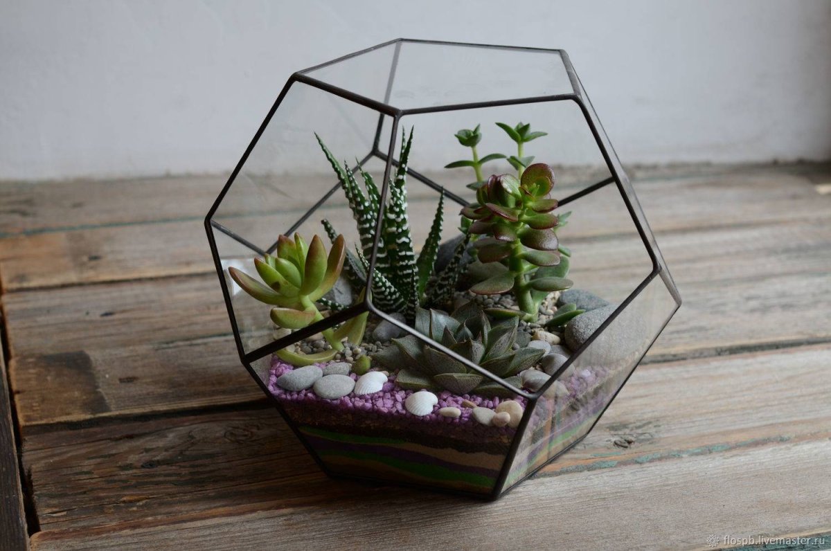 Флорариум Мирт и Суккуленты