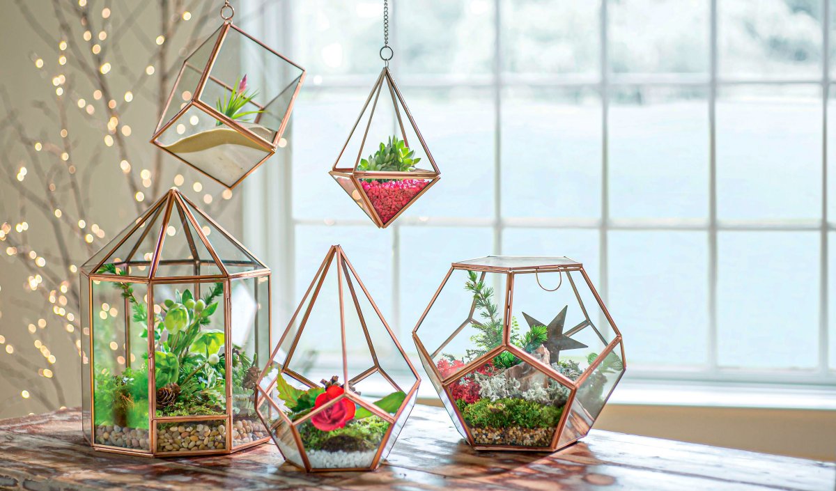 Эко флорариум