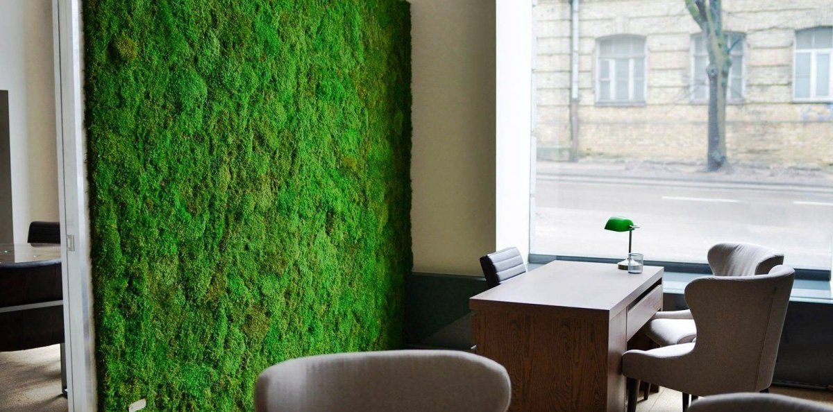 Moss Green / мох стабилизированный