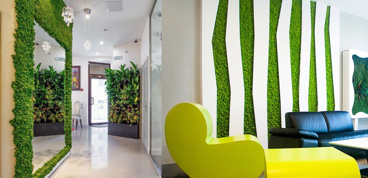 Мох в интерьере прихожей