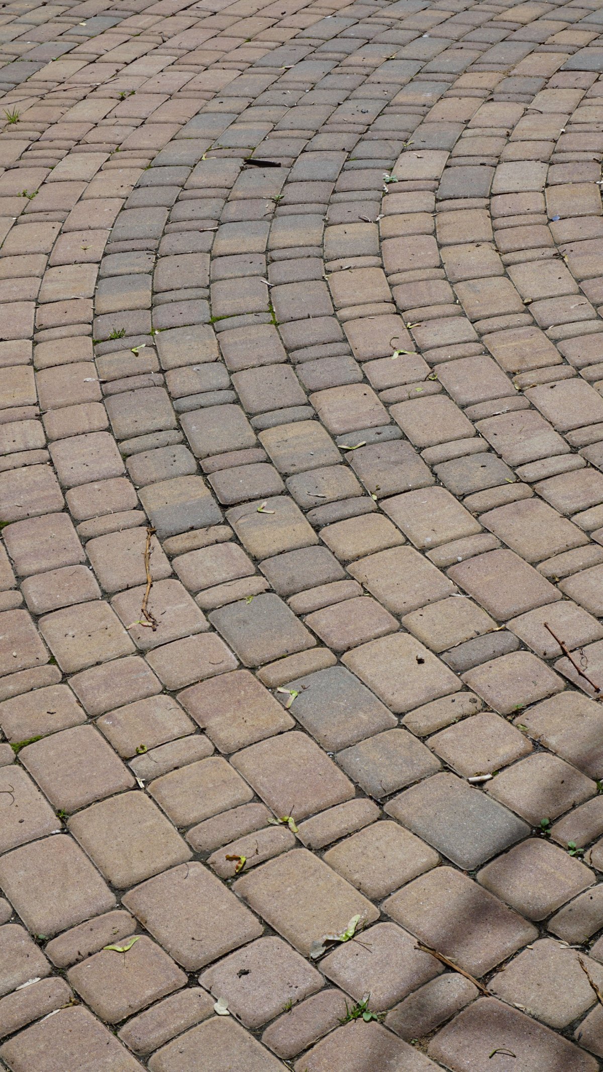 Фабрика Готика тротуарная плитка