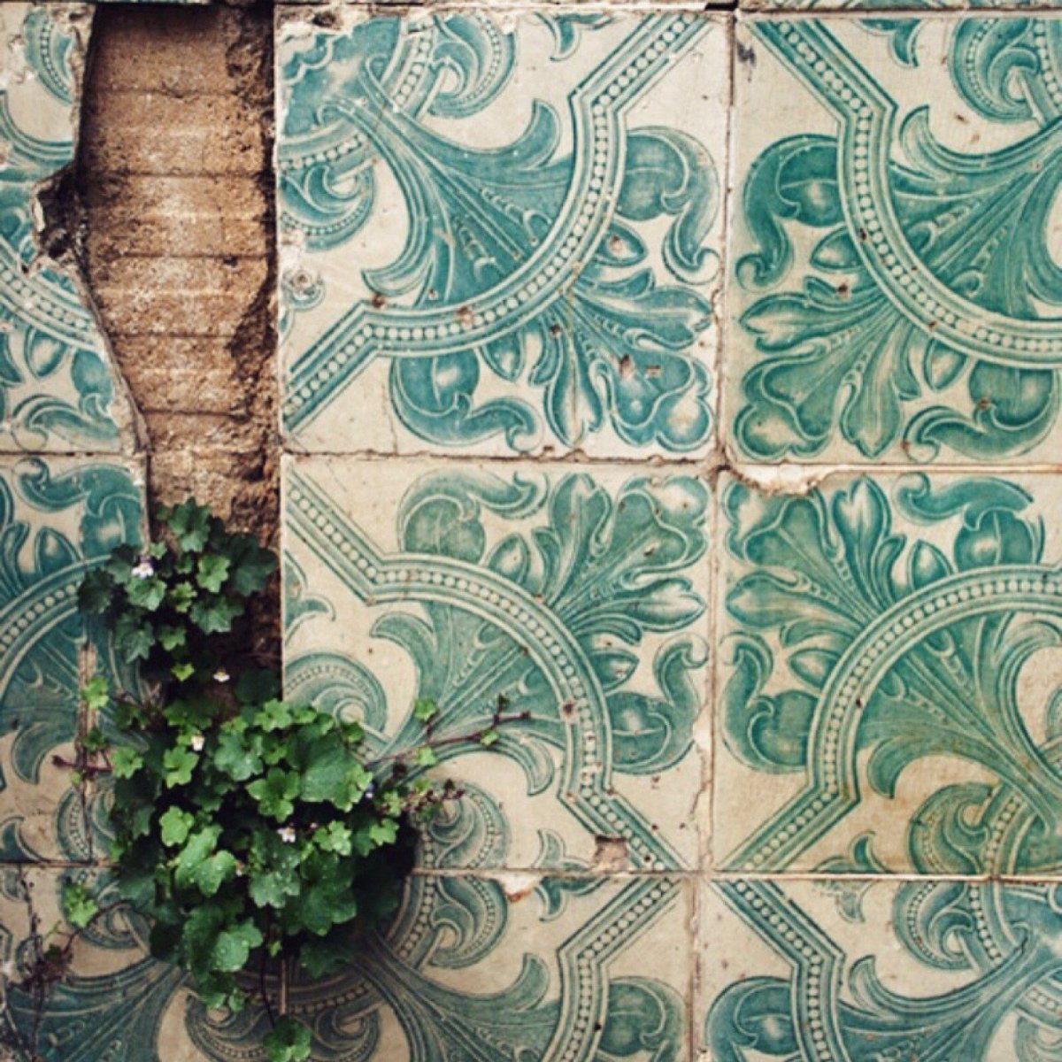 Плитка с растительным орнаментом