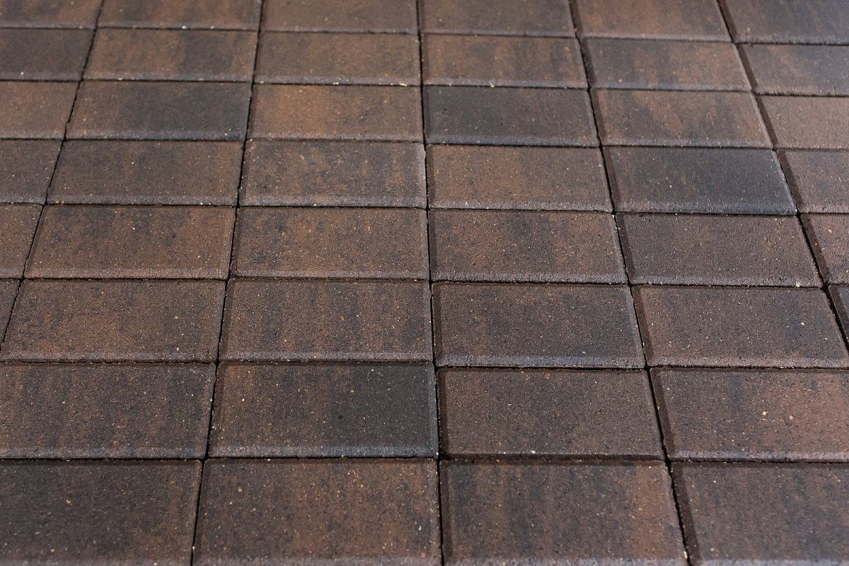 Штайнгот Штайн Браун