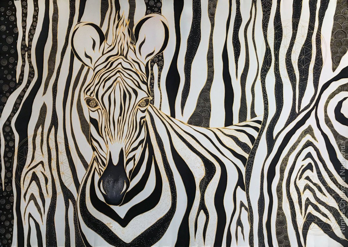 Картина Зебра черно белая