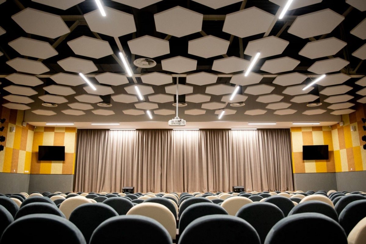 Экофон потолок актовый зал