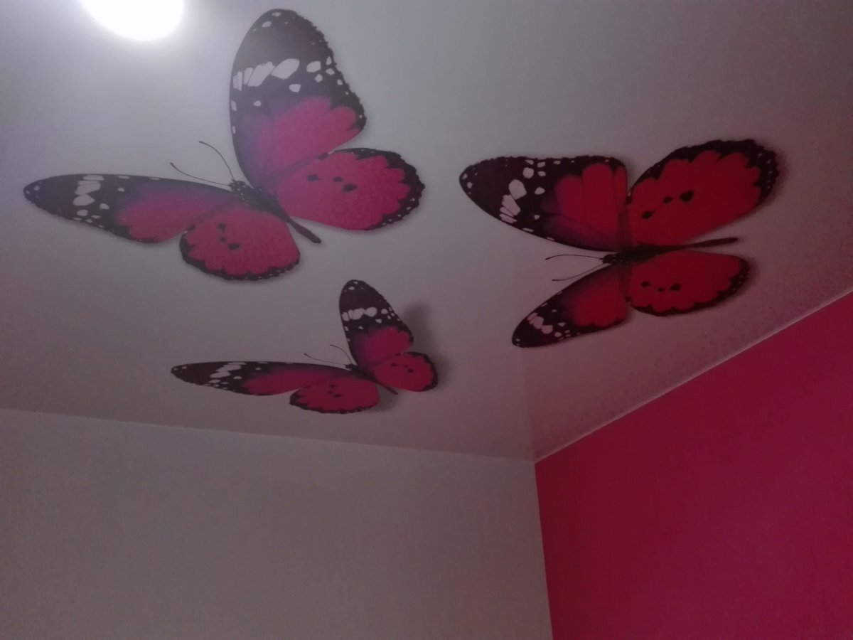 Розовые бабочки на натяжном потолке