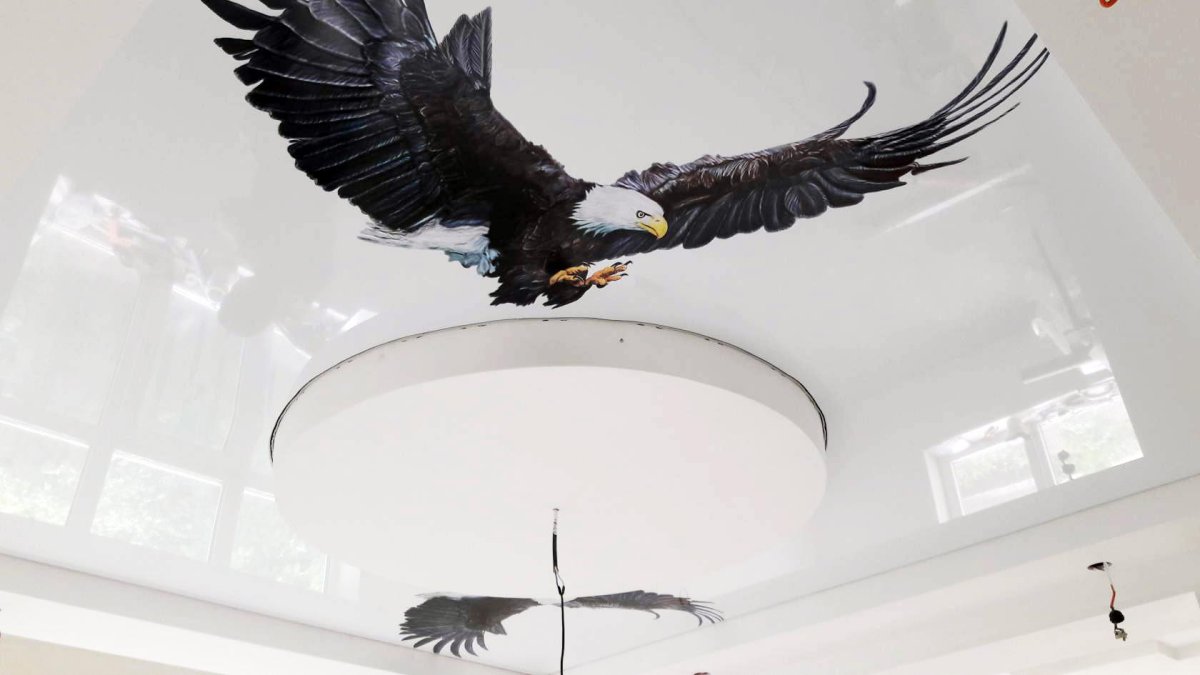 Натяжные потолки с животными