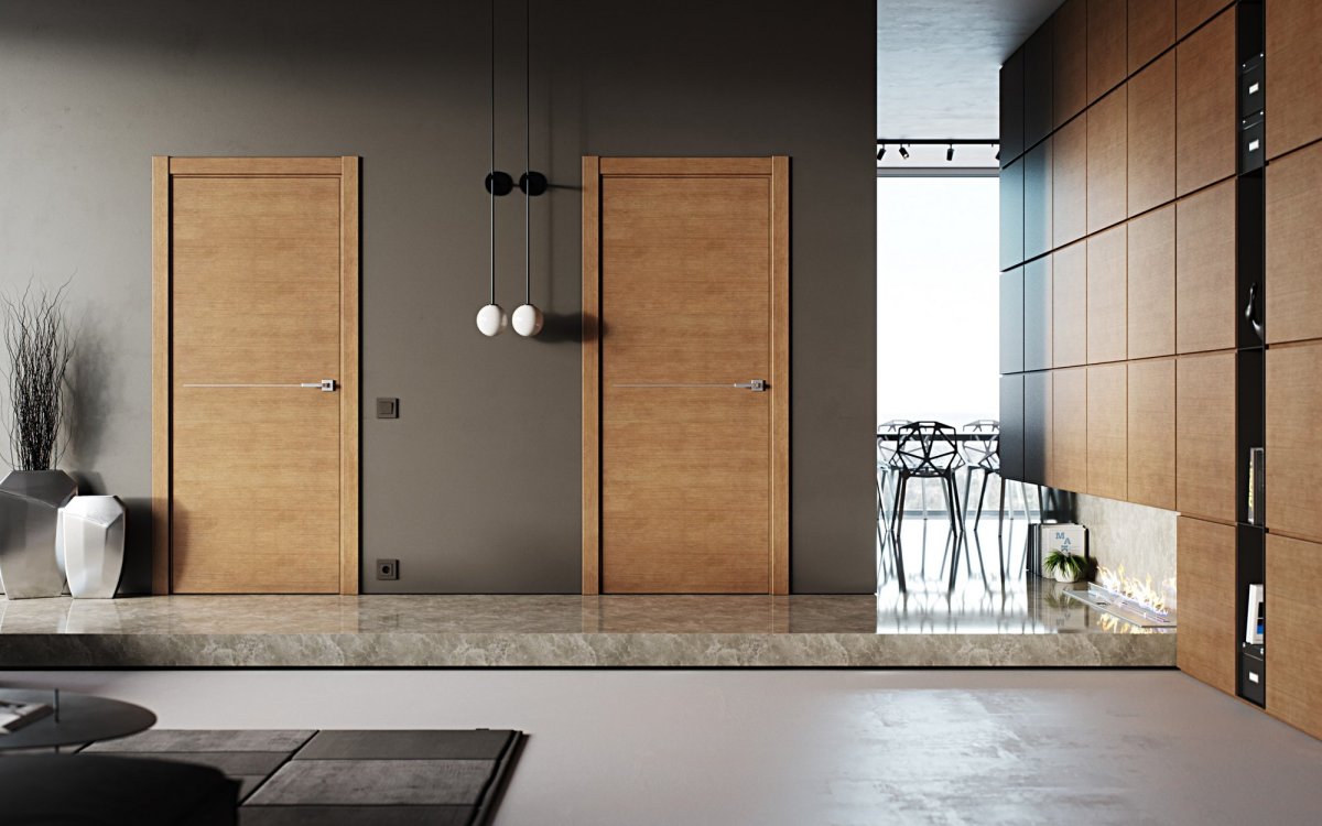 Двери рада Дорс в интерьере