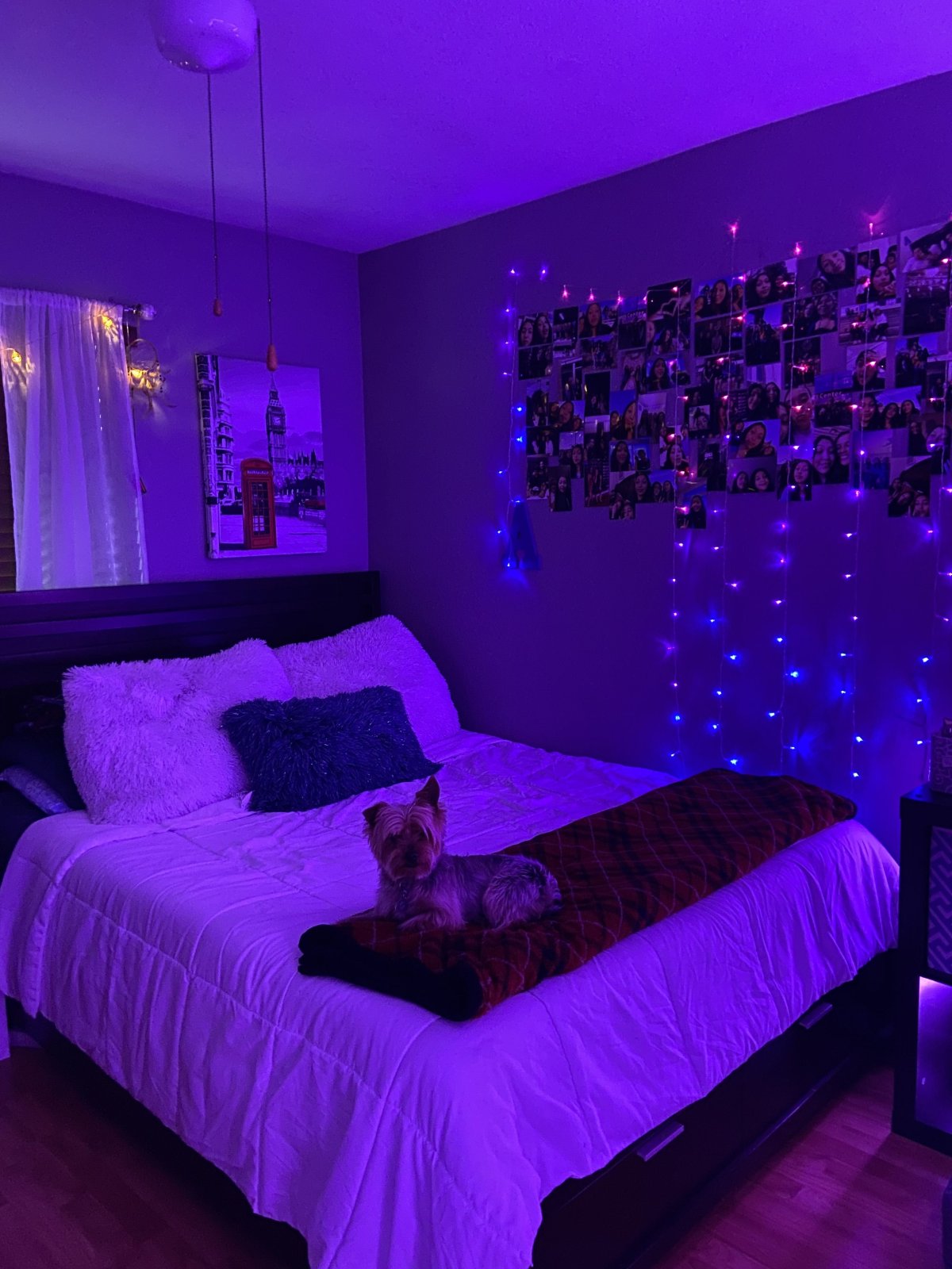 Фиолетовый свет в комнате