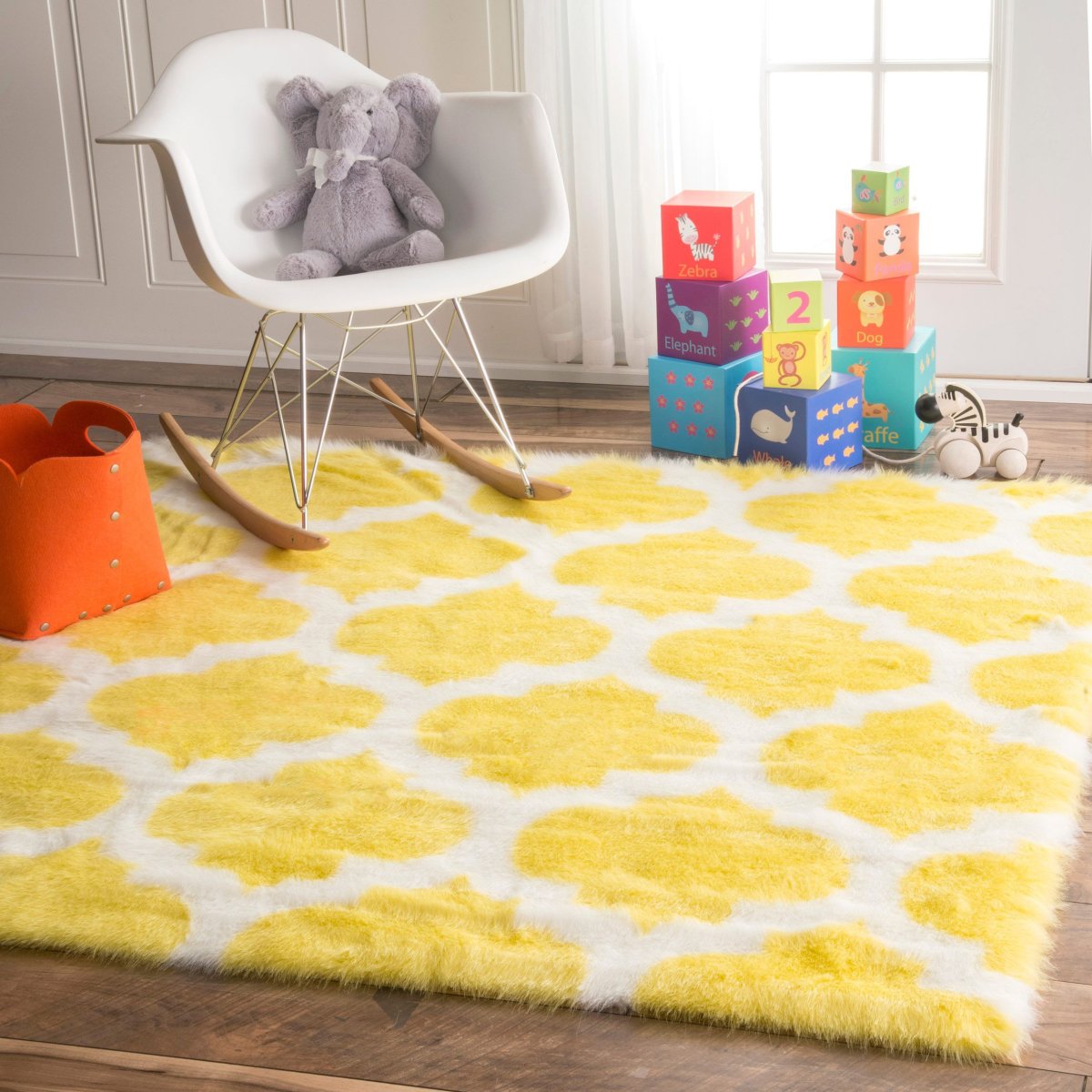 Carpet in the Room