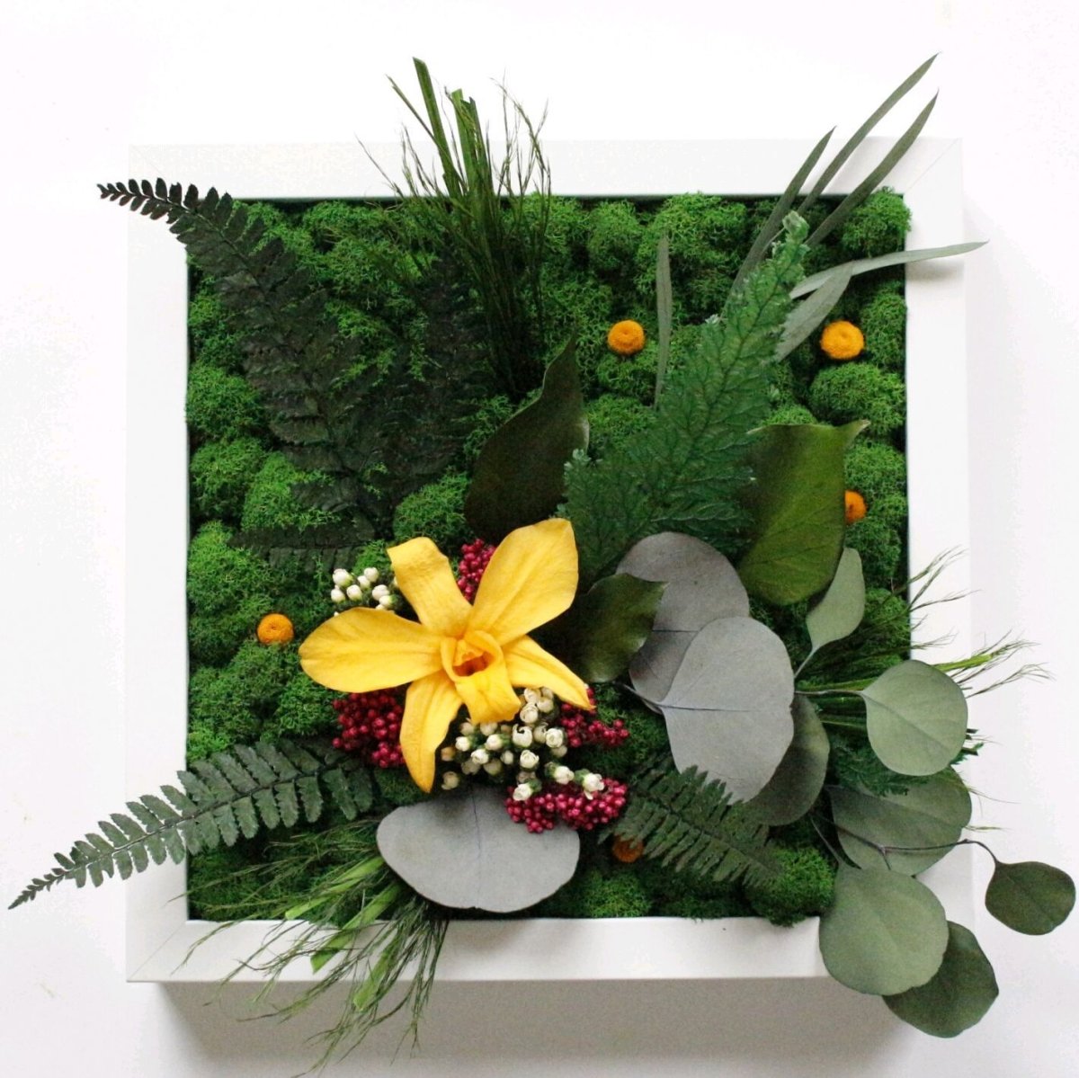 Фитокартина из стабилизированного мха