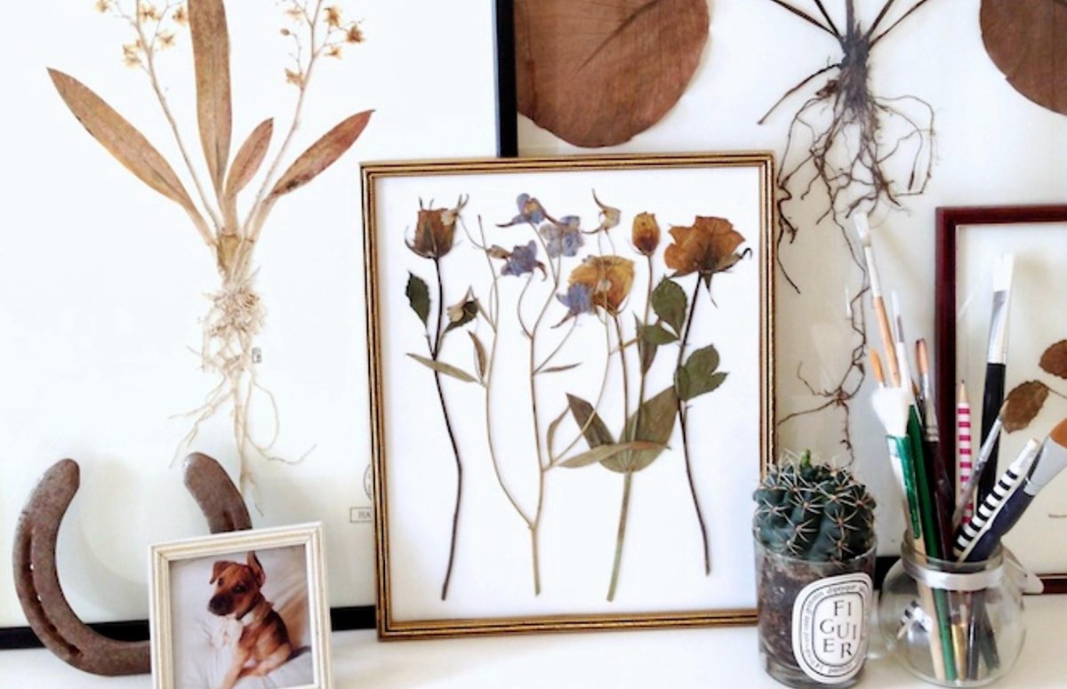 Гербарий декор