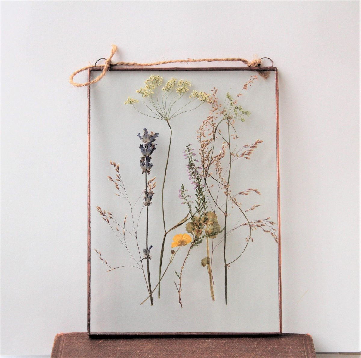 Гербариум в стекле