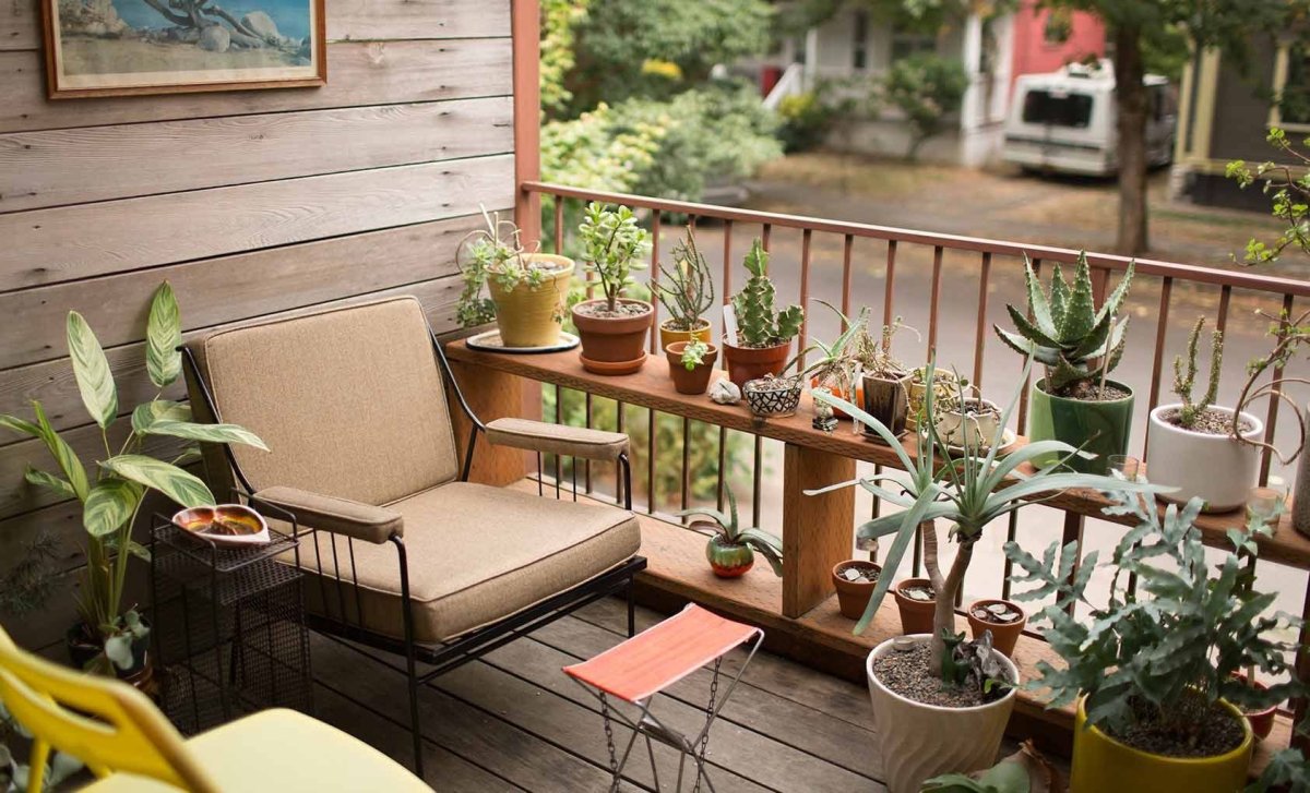 Растения на открытом балконе зимой