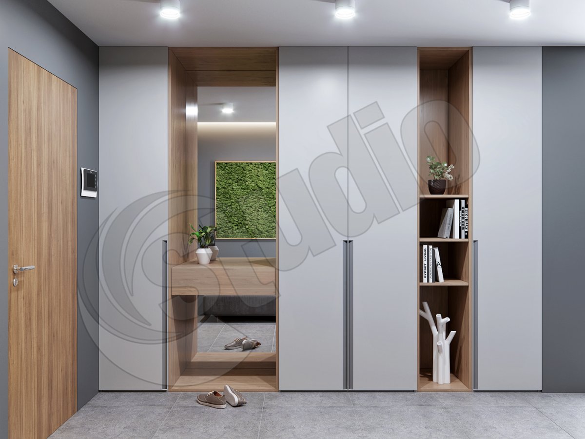 Современные распашные шкафы в прихожую