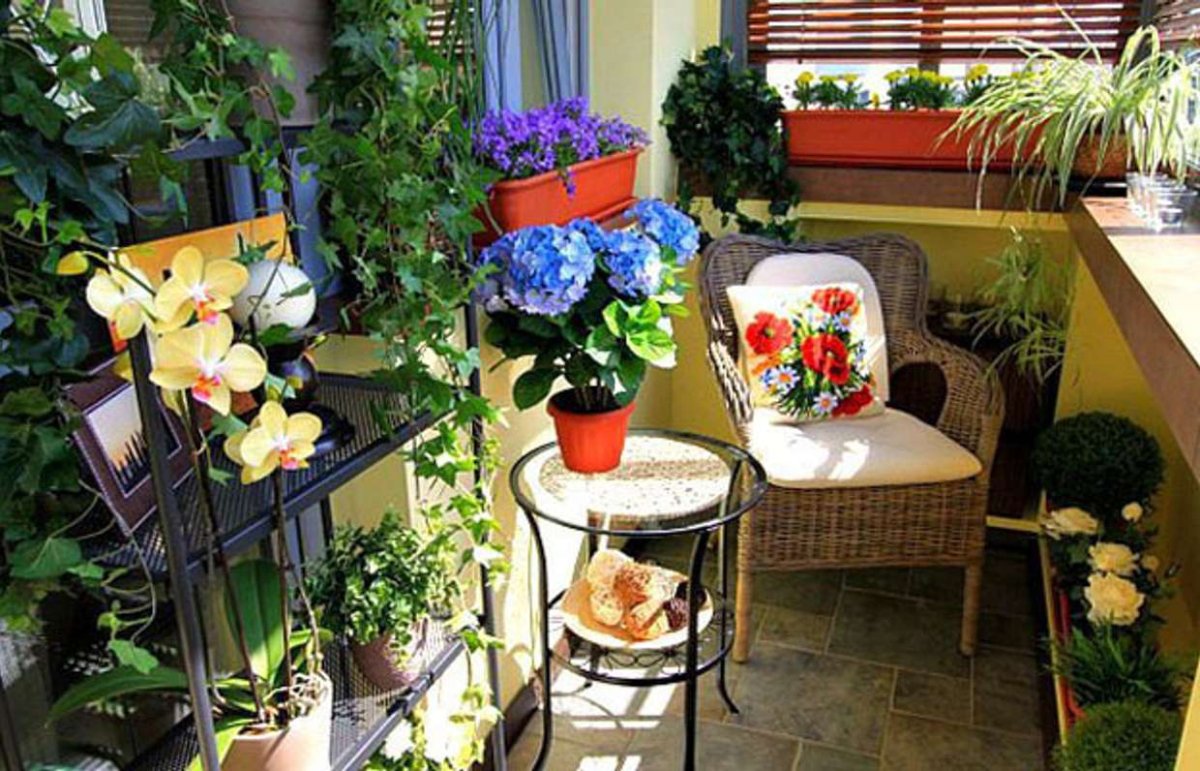 Цветы на застекленном балконе