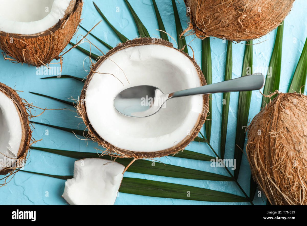 Пальмовые ветки Кокос