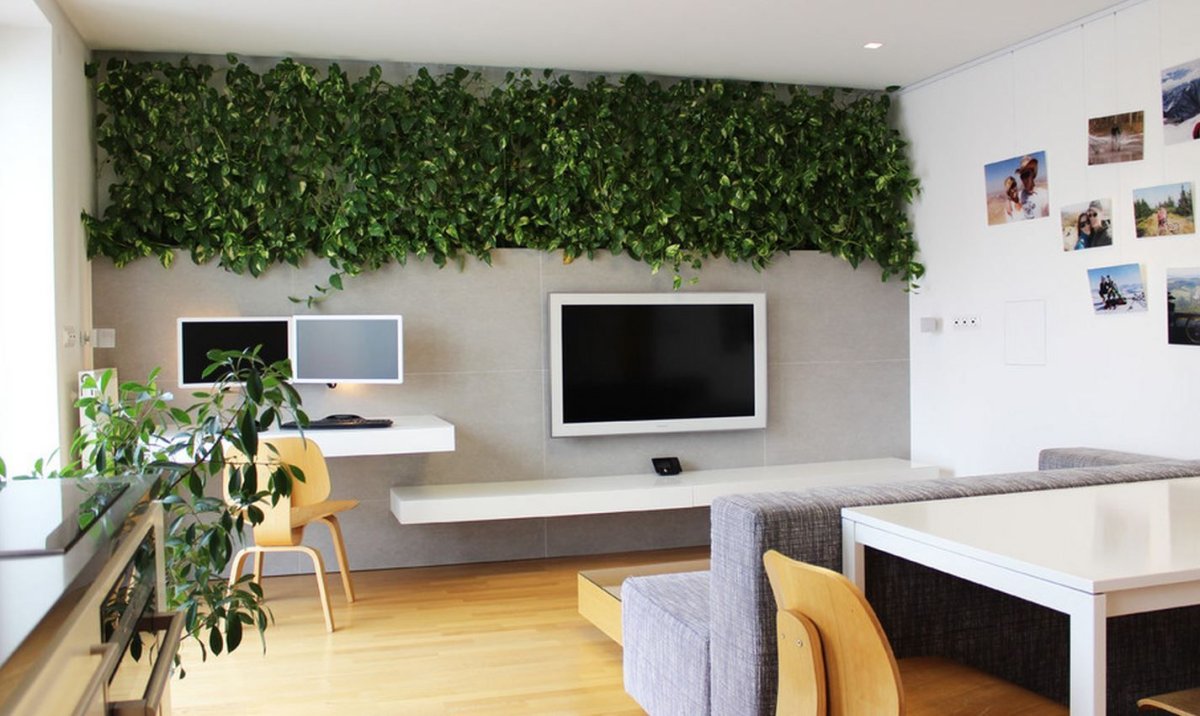 Зелень в интерьере