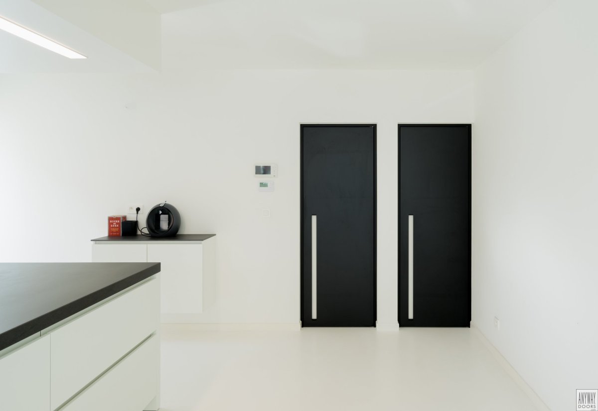 Двери Минимализм