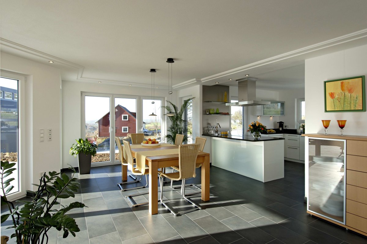 Кухня гостиная с выходом на террасу