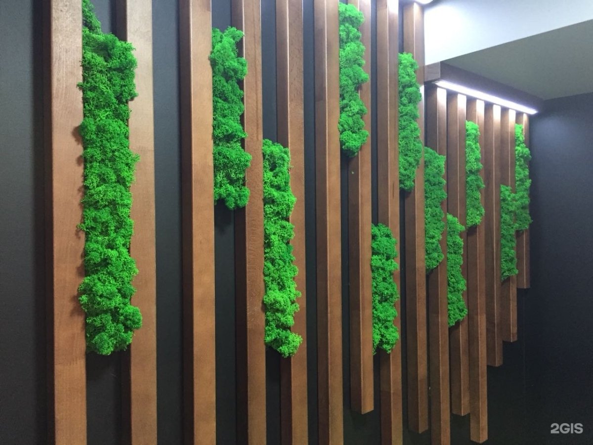 Вертикальное Озеленение мхом